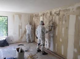 Professional Mold Removal in Posen, IL